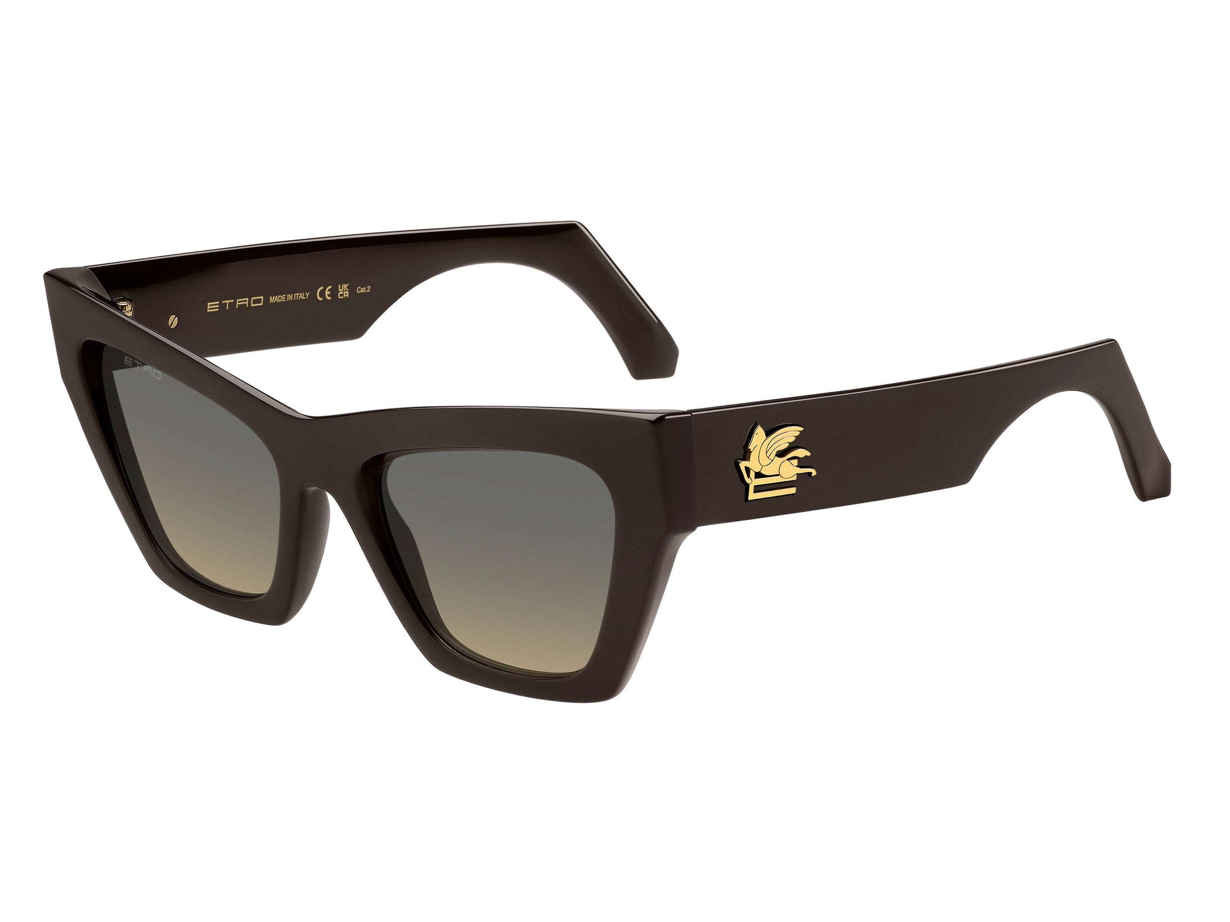 Etro Square Sunglasses - ETRO 0050/S