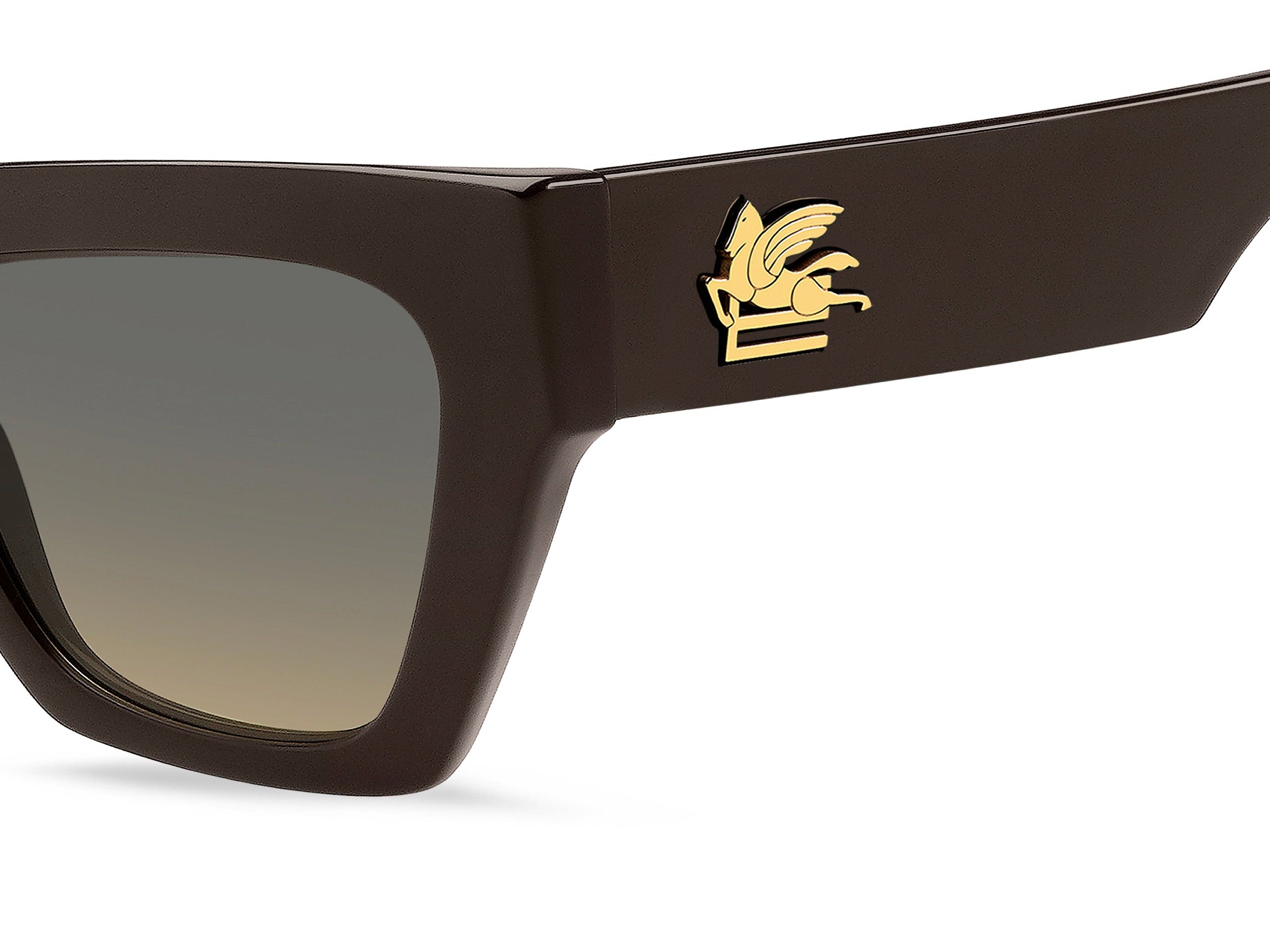 Etro Square Sunglasses - ETRO 0050/S