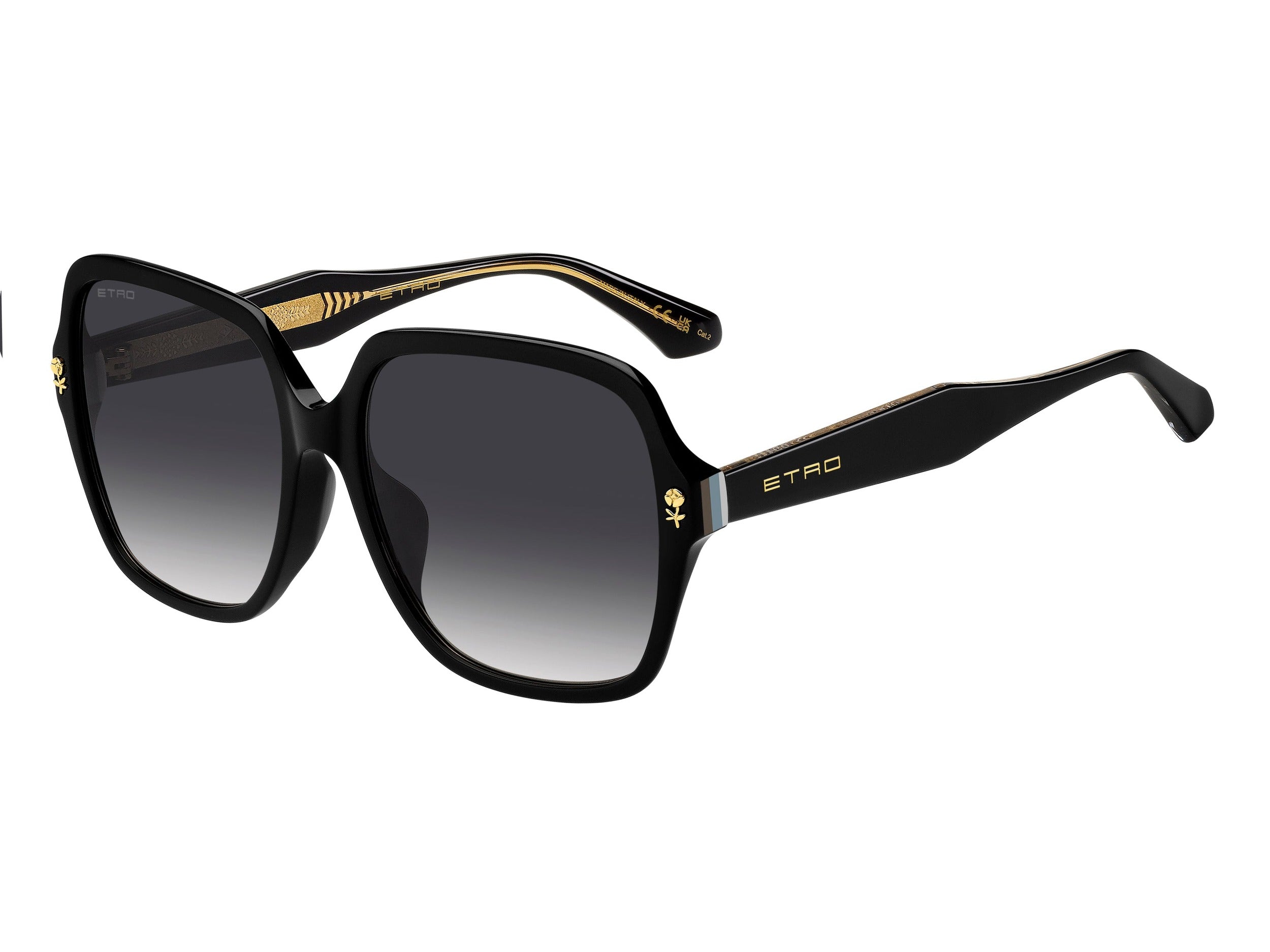 Etro Square Sunglasses - ETRO 0064/F/S