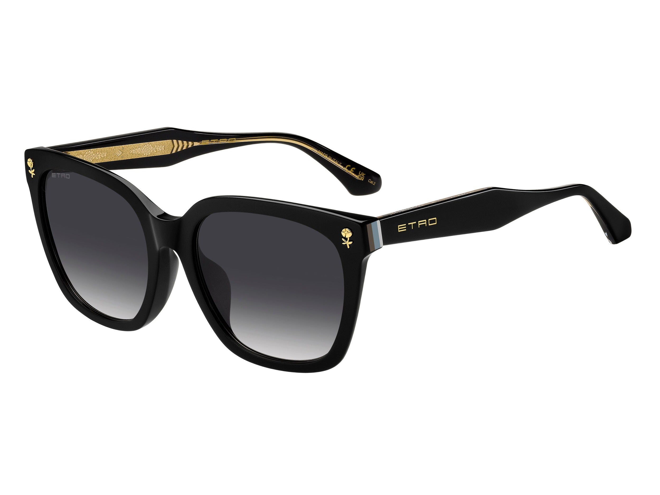 Etro Square Sunglasses - ETRO 0065/F/S BLACK