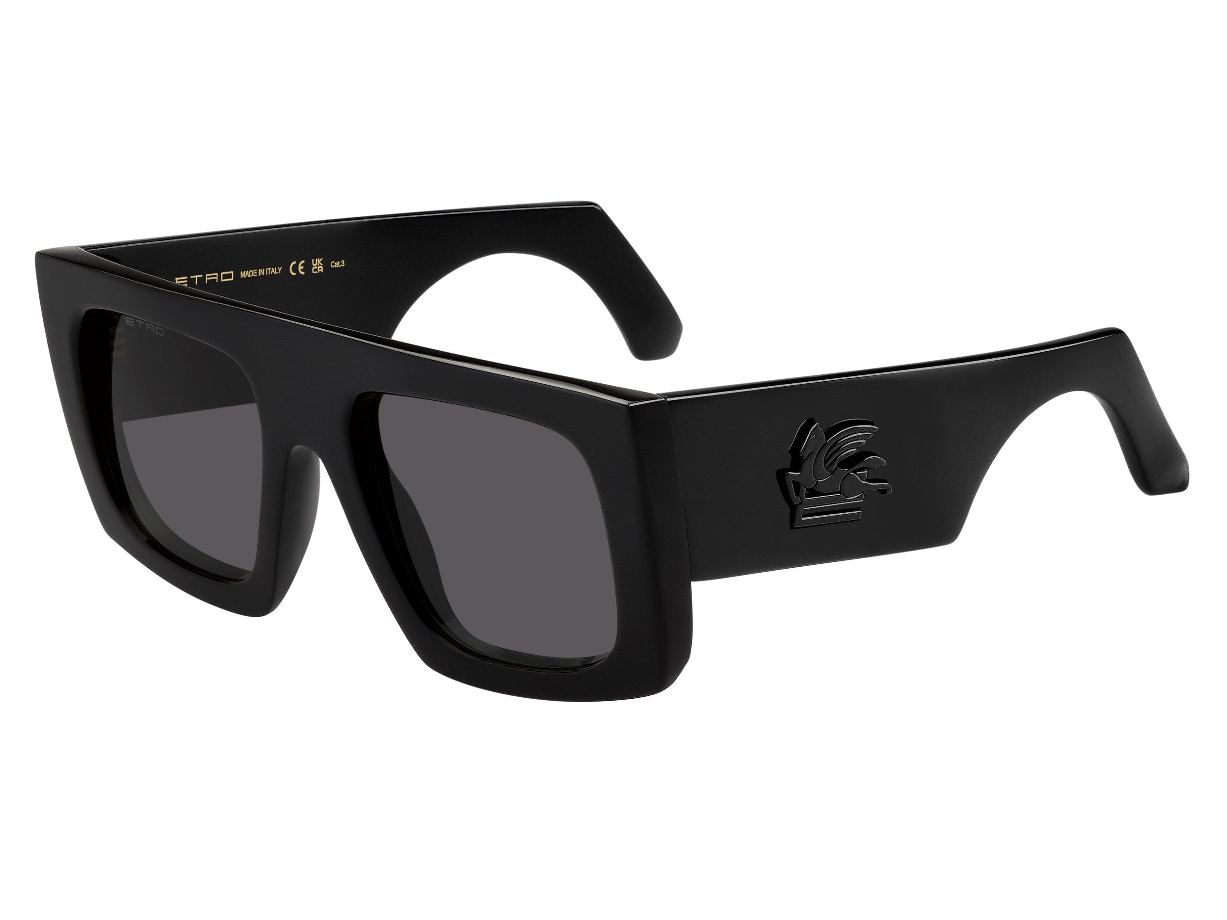 Etro Square Sunglasses - ETROSCREEN BLACK