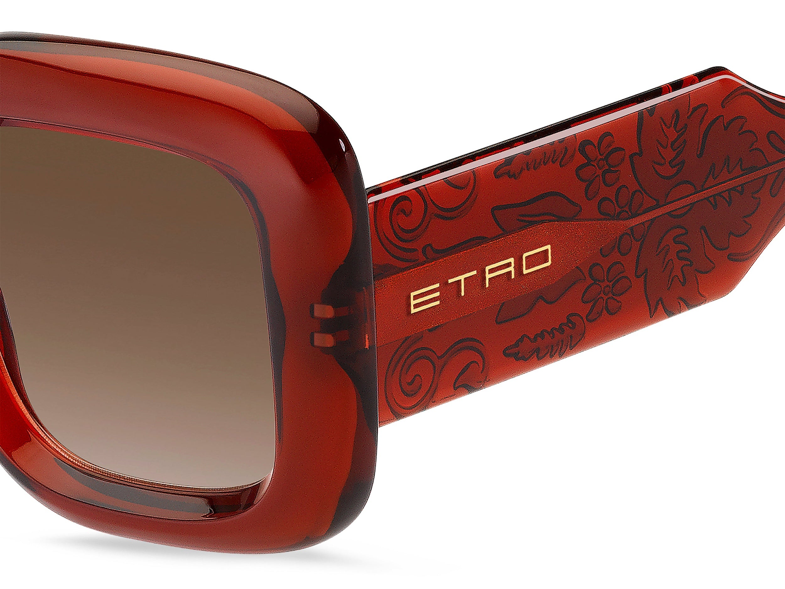 Etro Square Sunglasses - ETRO 0015/S BRICK