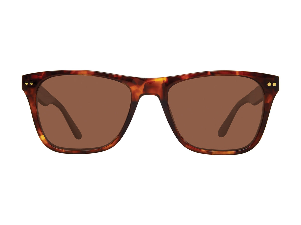 Prive Revaux Square Sunglasses - NIGHT LIFE/S HAVANA